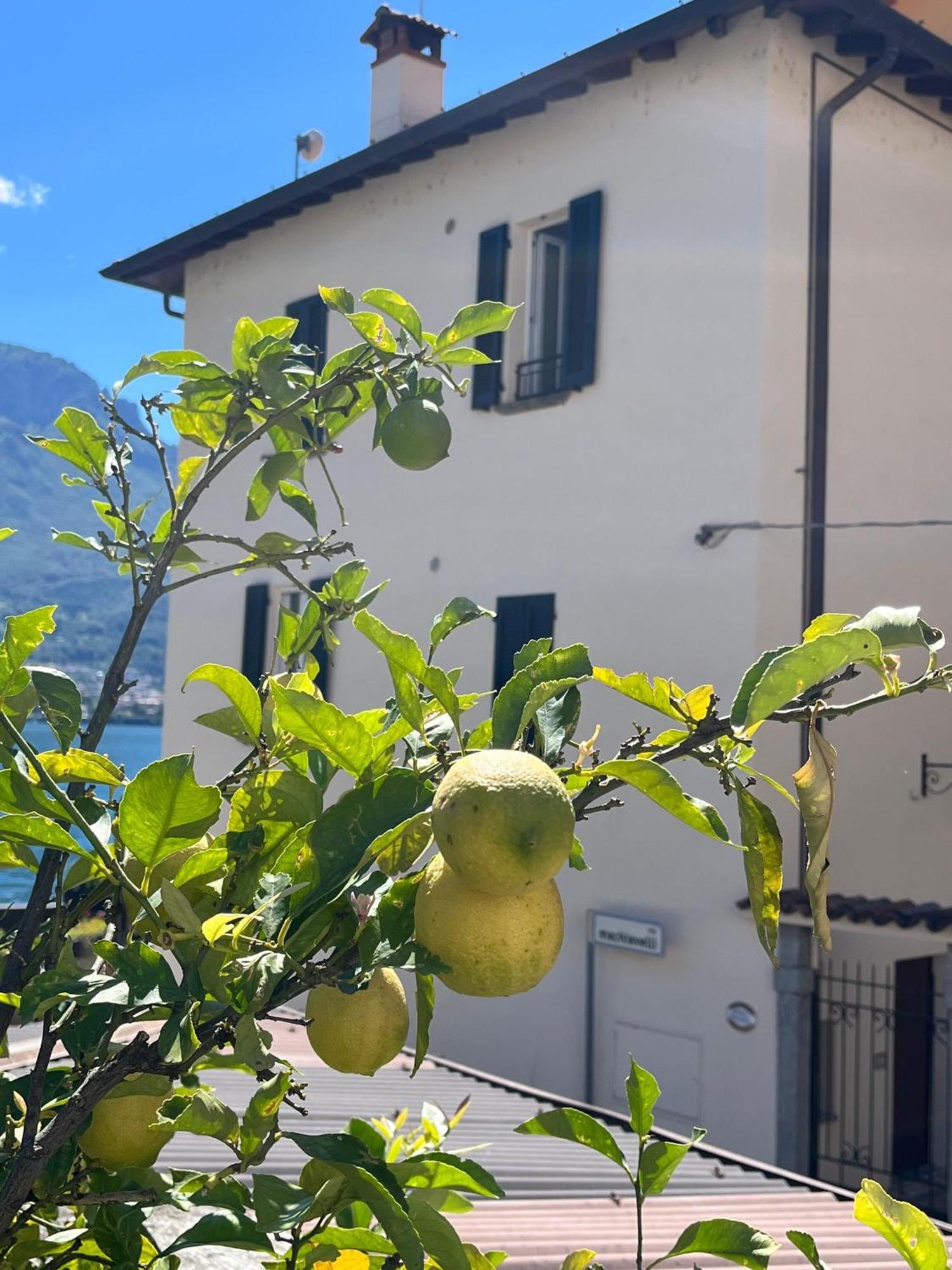Domus Graziana - Lake Front Oliveto Lario ภายนอก รูปภาพ
